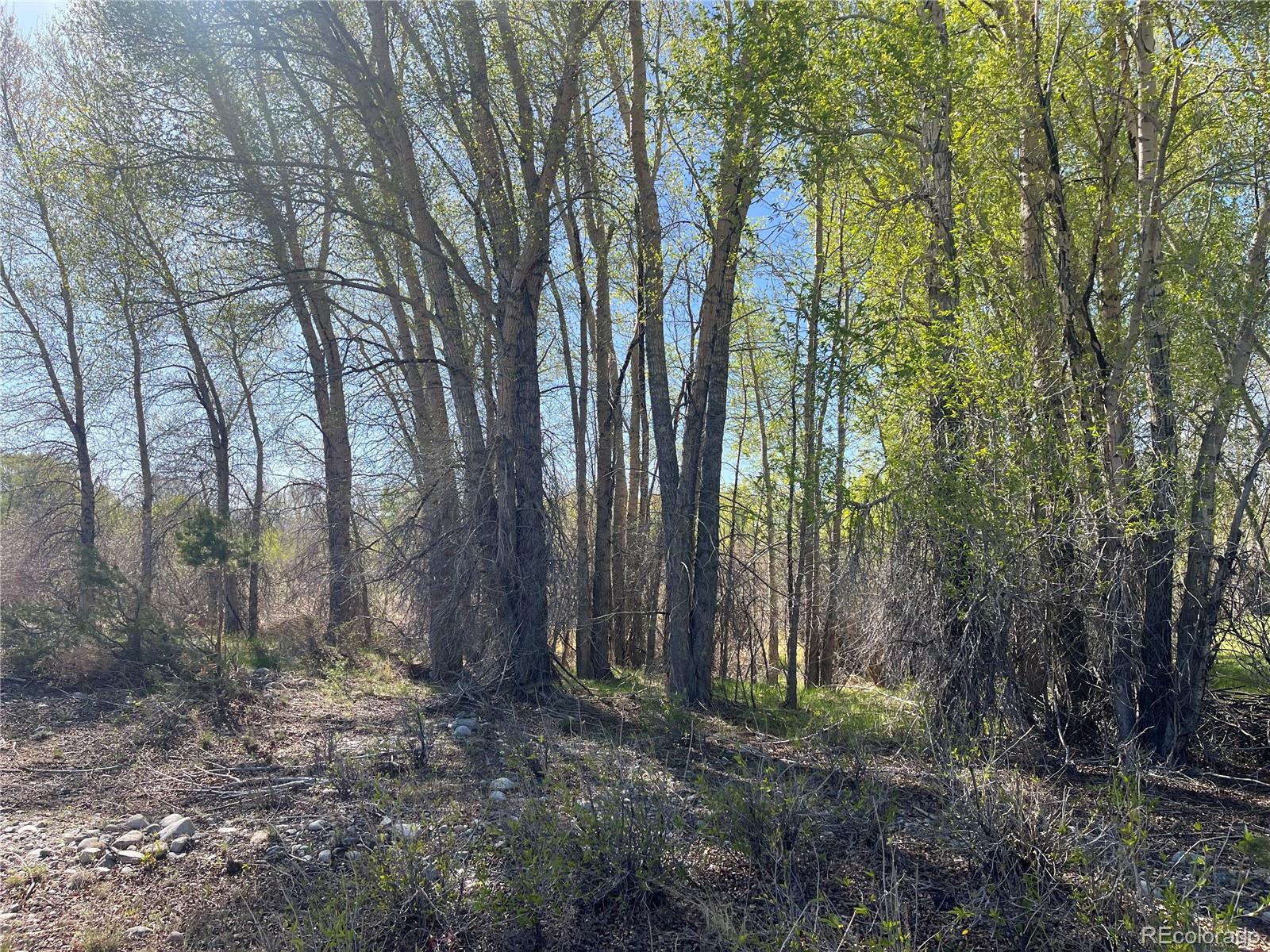 Cr 361a Buena Vista CO 81211