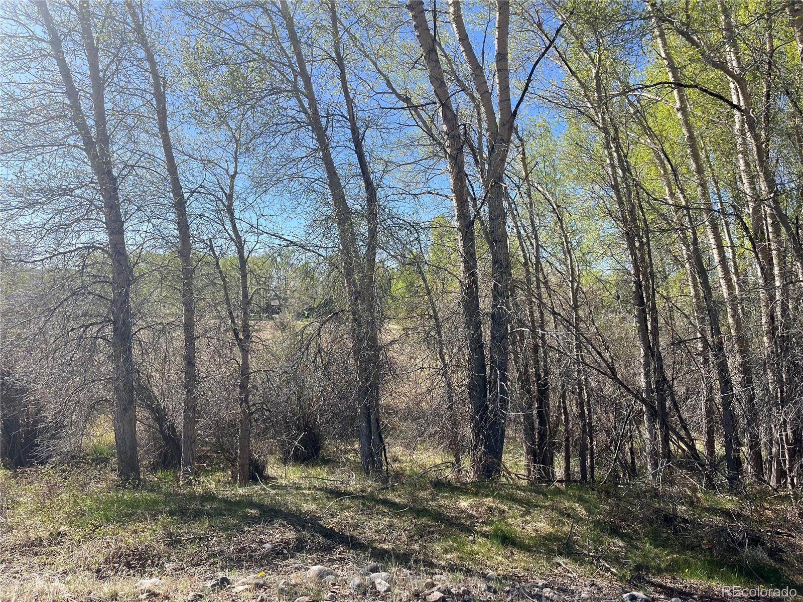 Cr 361a Buena Vista CO 81211