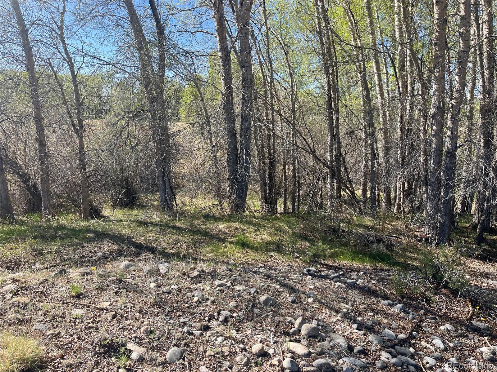 Cr 361a Buena Vista CO 81211