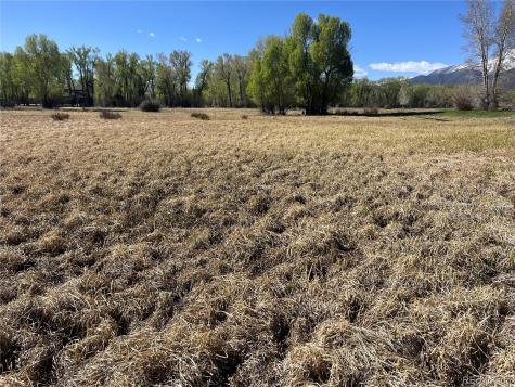 Cr 361a Buena Vista CO 81211