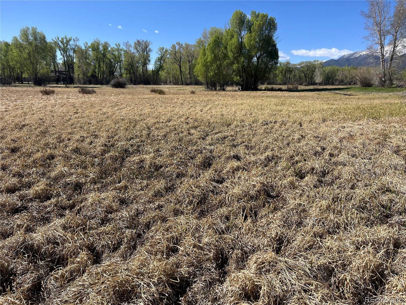 Cr 361a Buena Vista CO 81211
