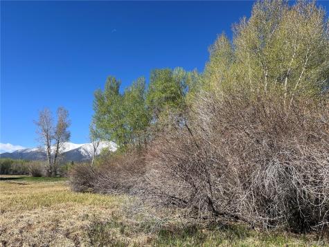 Cr 361a Buena Vista CO 81211