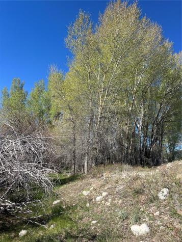 Cr 361a Buena Vista CO 81211