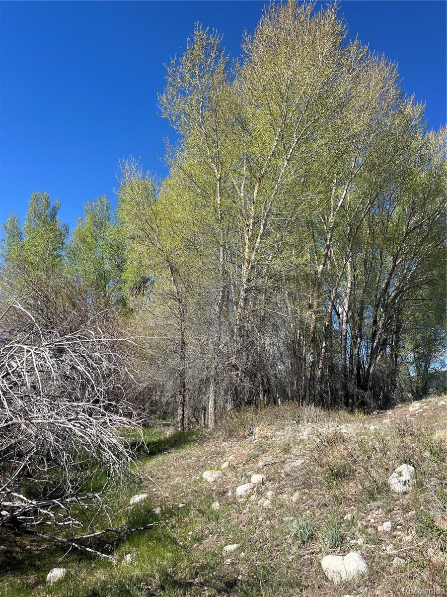 Cr 361a Buena Vista CO 81211