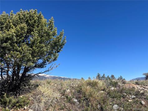 Cr 361a Buena Vista CO 81211