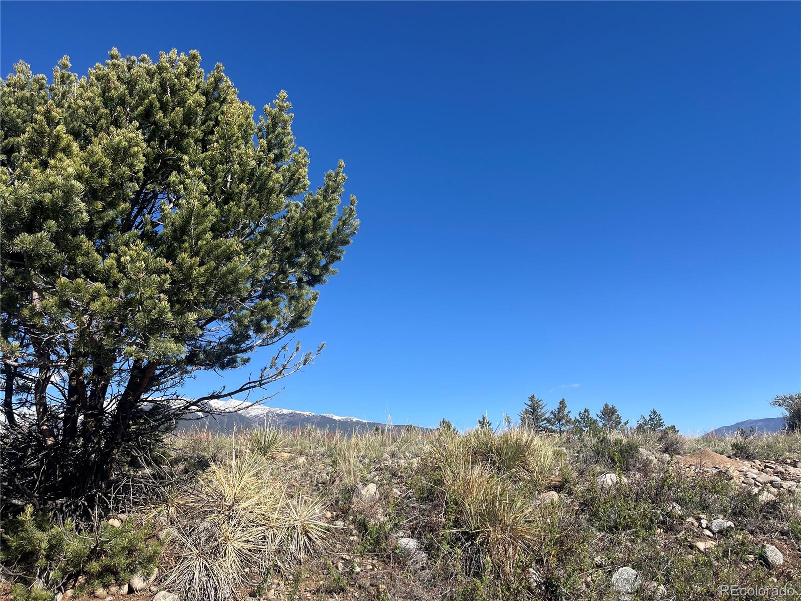 Cr 361a Buena Vista CO 81211