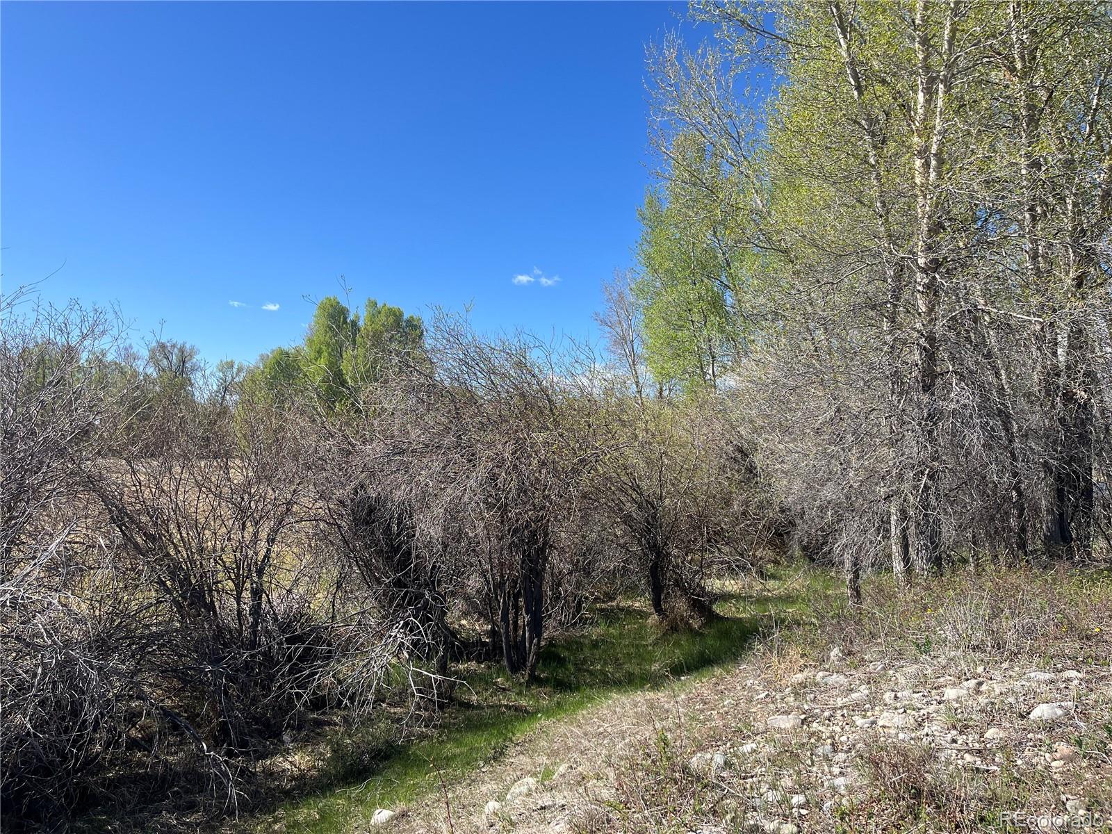 Cr 361a Buena Vista CO 81211