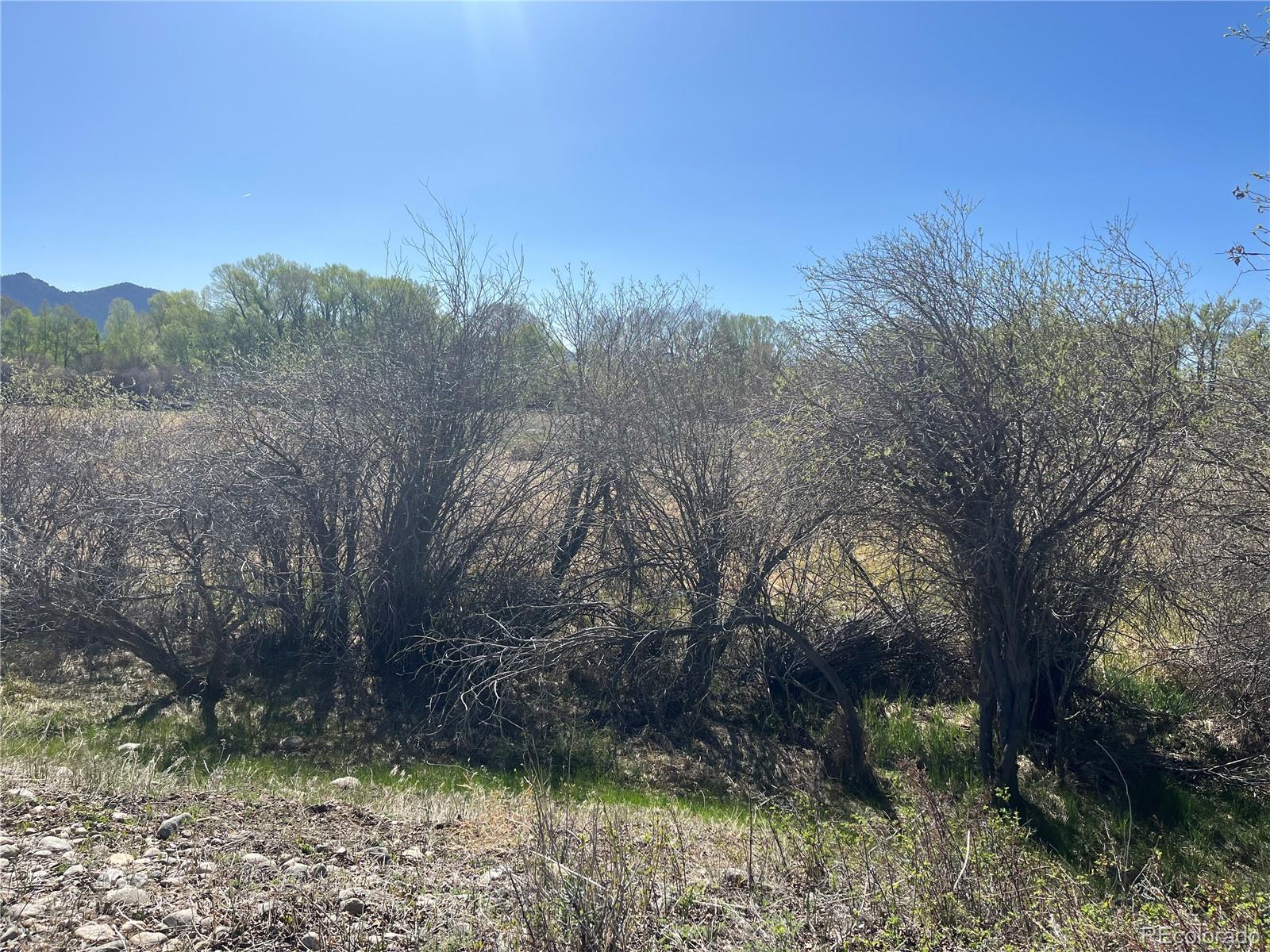 Cr 361a Buena Vista CO 81211