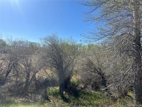 Cr 361a Buena Vista CO 81211