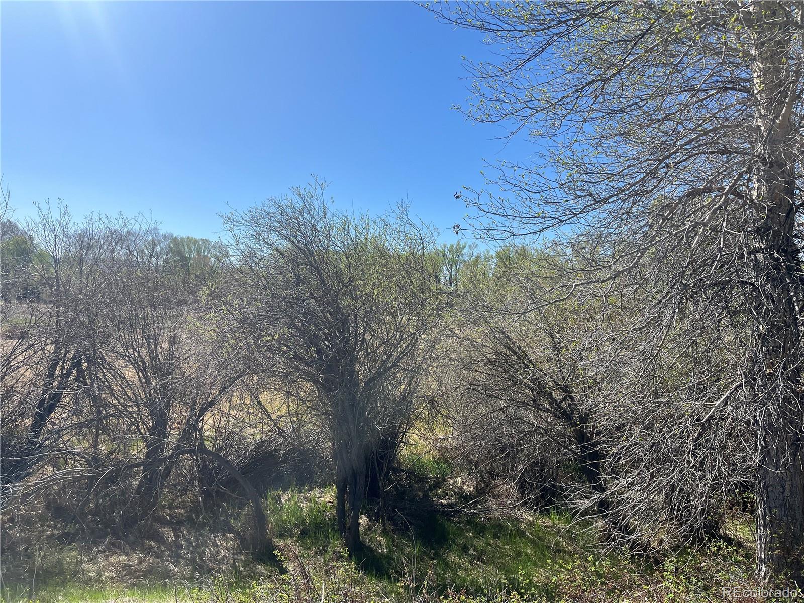 Cr 361a Buena Vista CO 81211