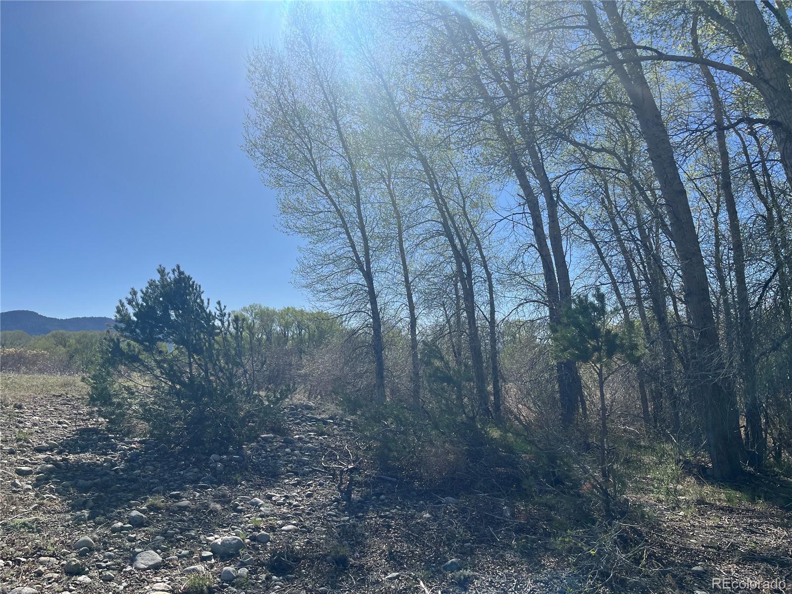 Cr 361a Buena Vista CO 81211