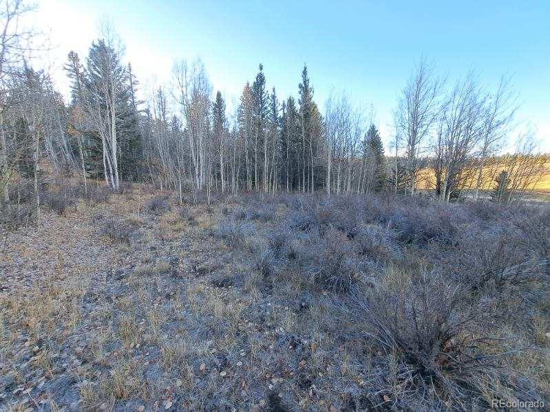 00 Haida Lane Como CO 80432