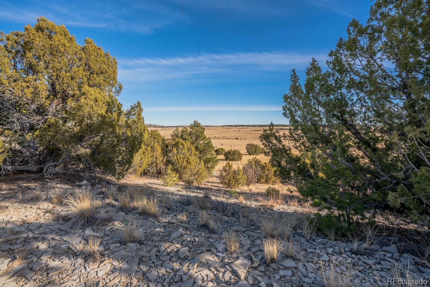 24 Hatchet Ranch Colorado City CO 81019
