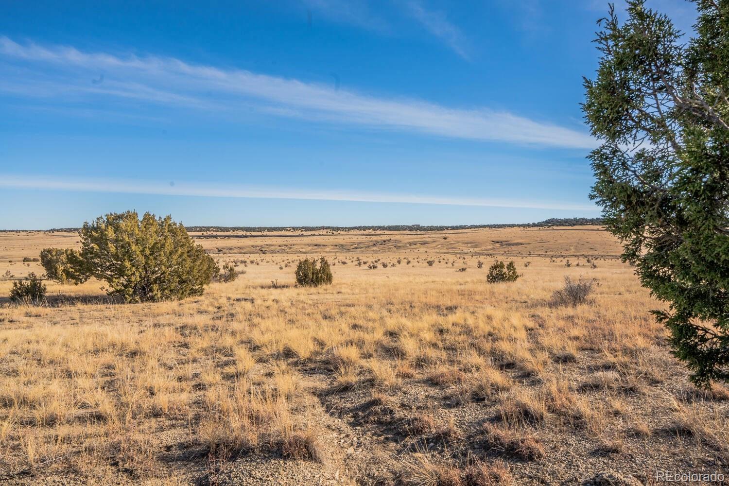 24 Hatchet Ranch Colorado City CO 81019