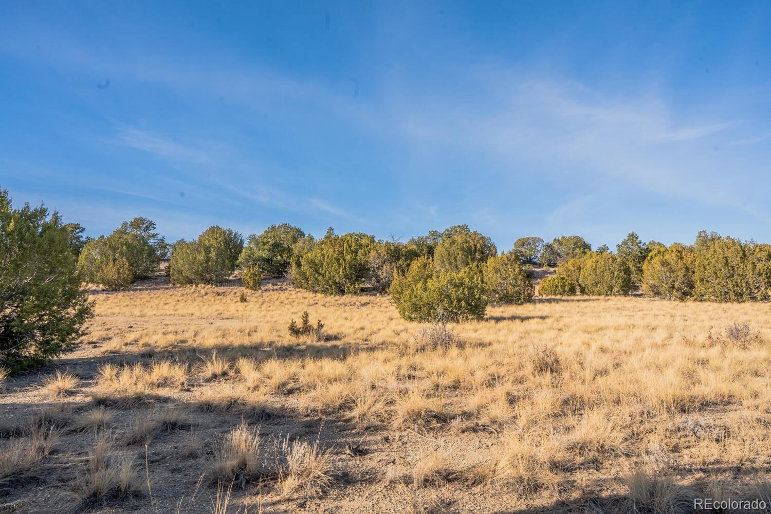 24 Hatchet Ranch Colorado City CO 81019