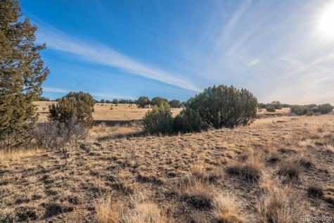 24 Hatchet Ranch Colorado City CO 81019