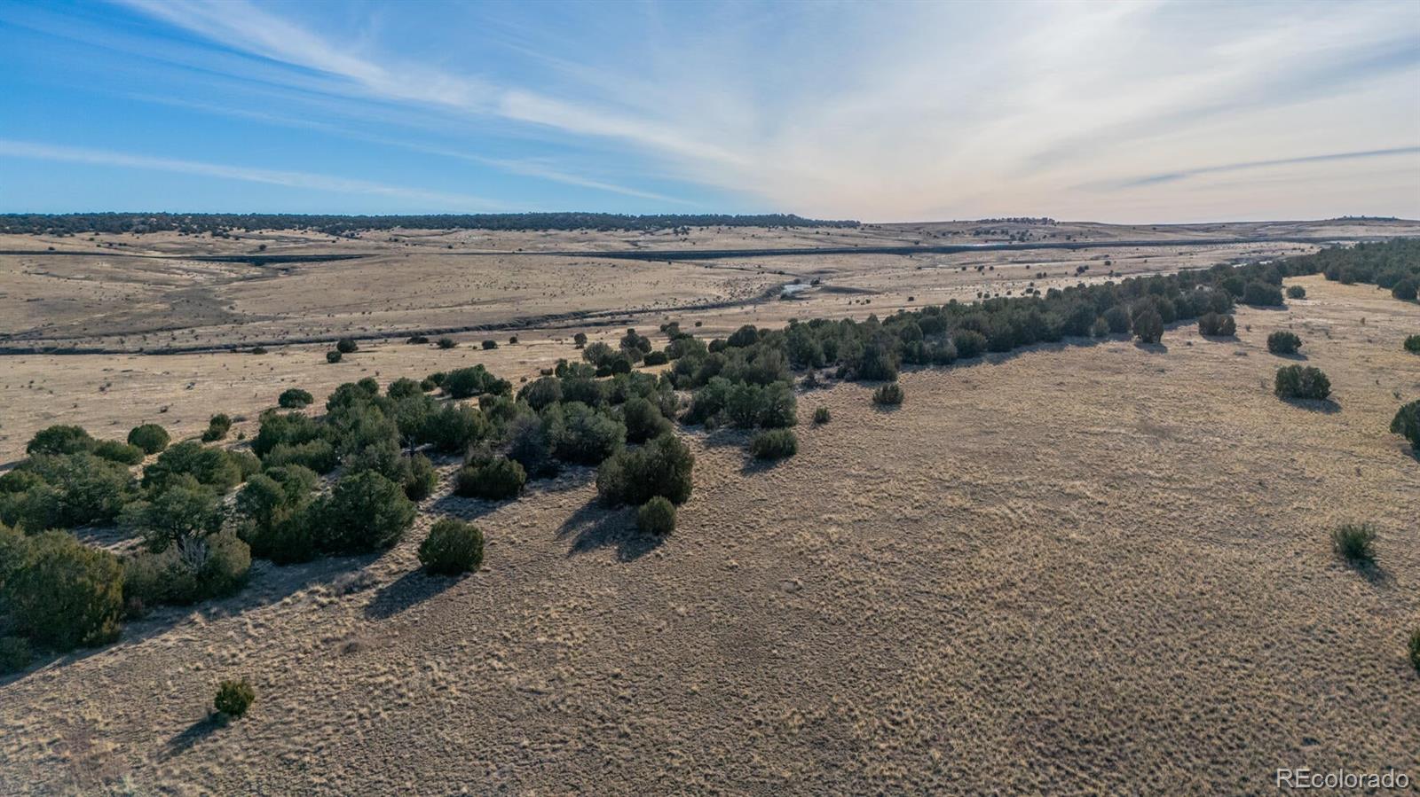 24 Hatchet Ranch Colorado City CO 81019