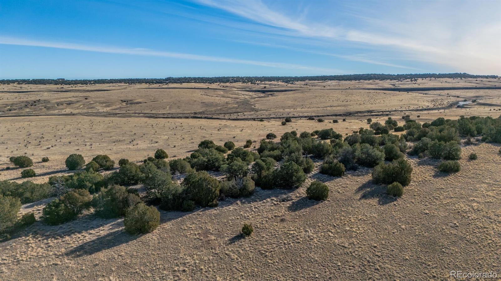 24 Hatchet Ranch Colorado City CO 81019