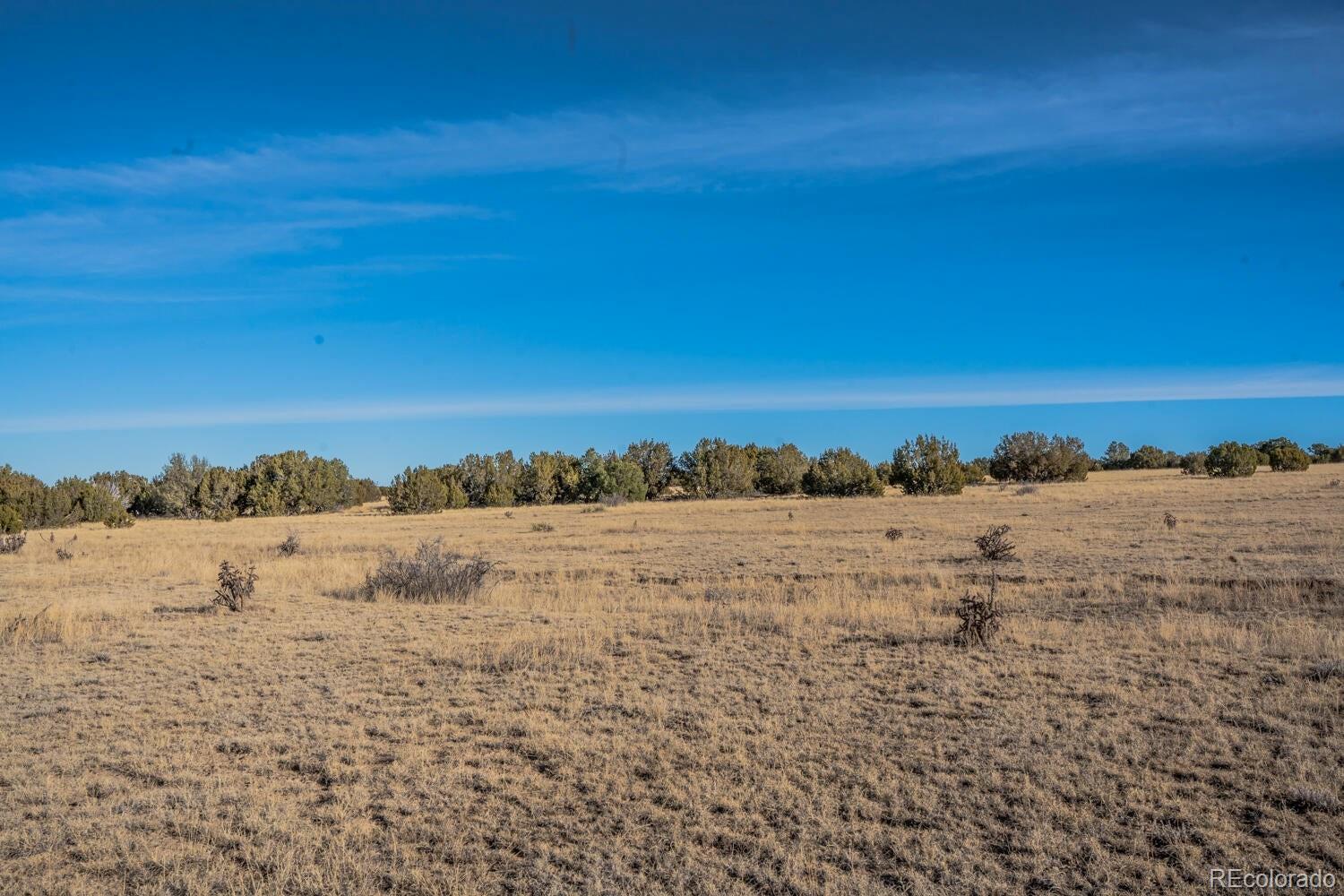 24 Hatchet Ranch Colorado City CO 81019