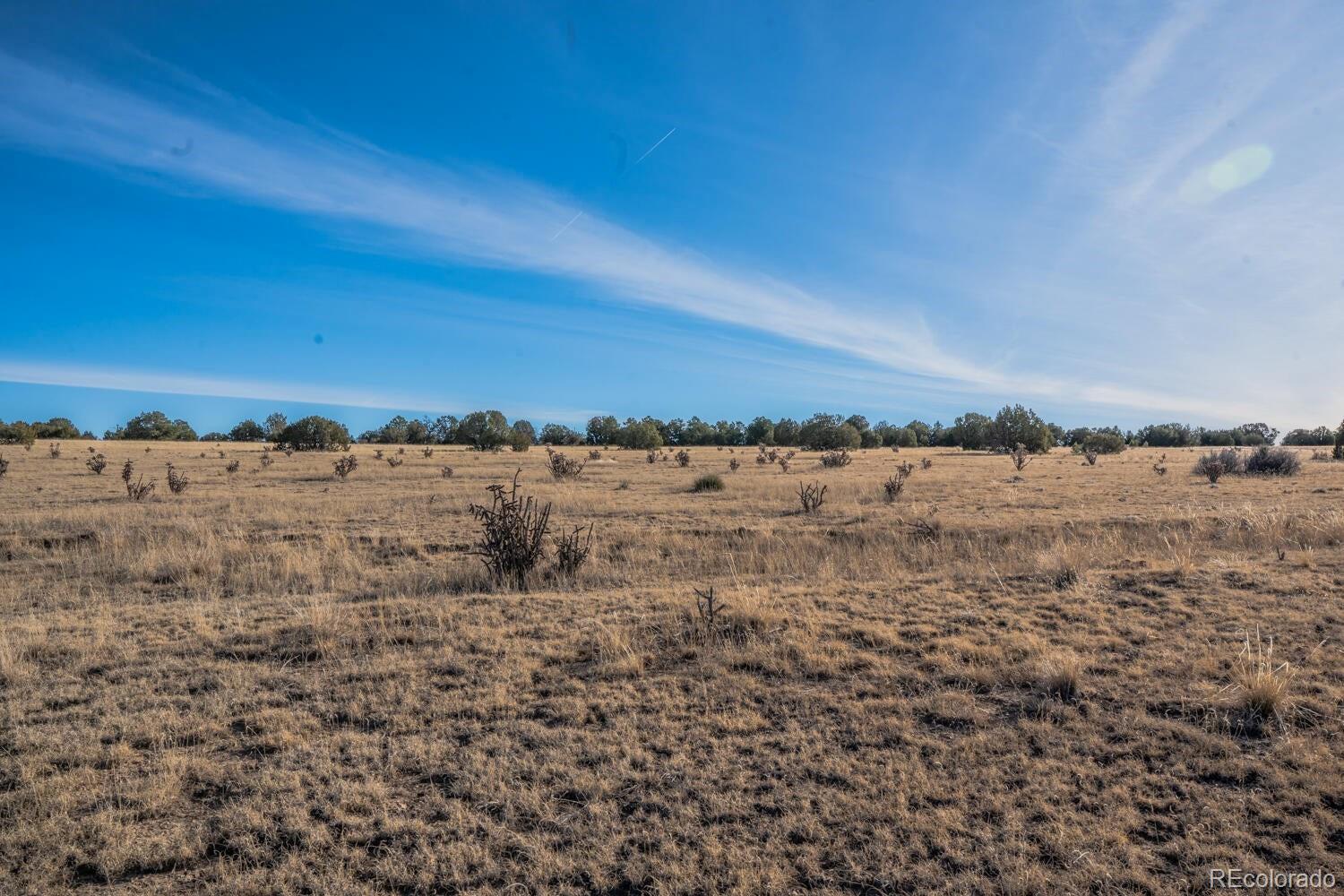 24 Hatchet Ranch Colorado City CO 81019