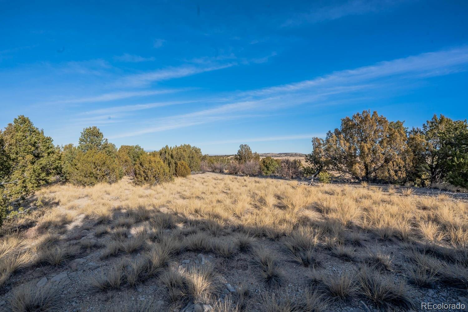 24 Hatchet Ranch Colorado City CO 81019