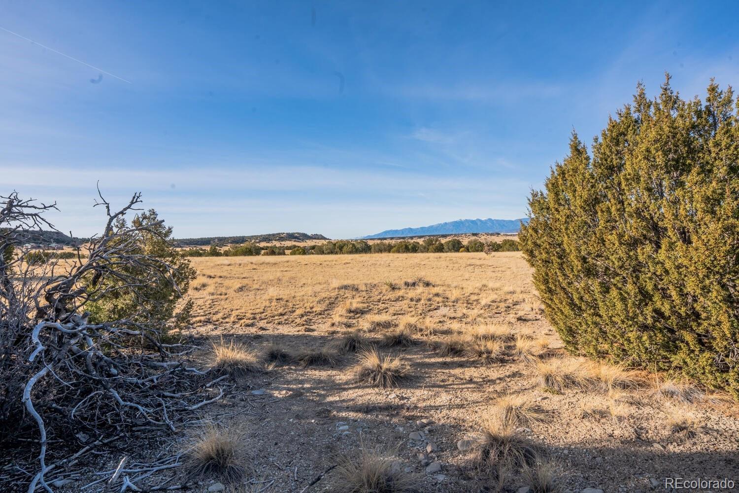 24 Hatchet Ranch Colorado City CO 81019