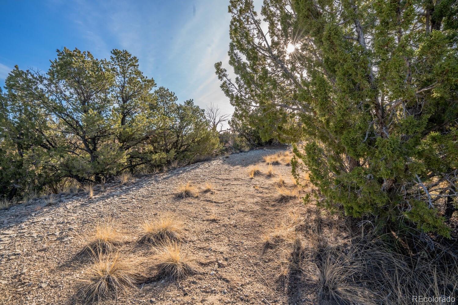 24 Hatchet Ranch Colorado City CO 81019