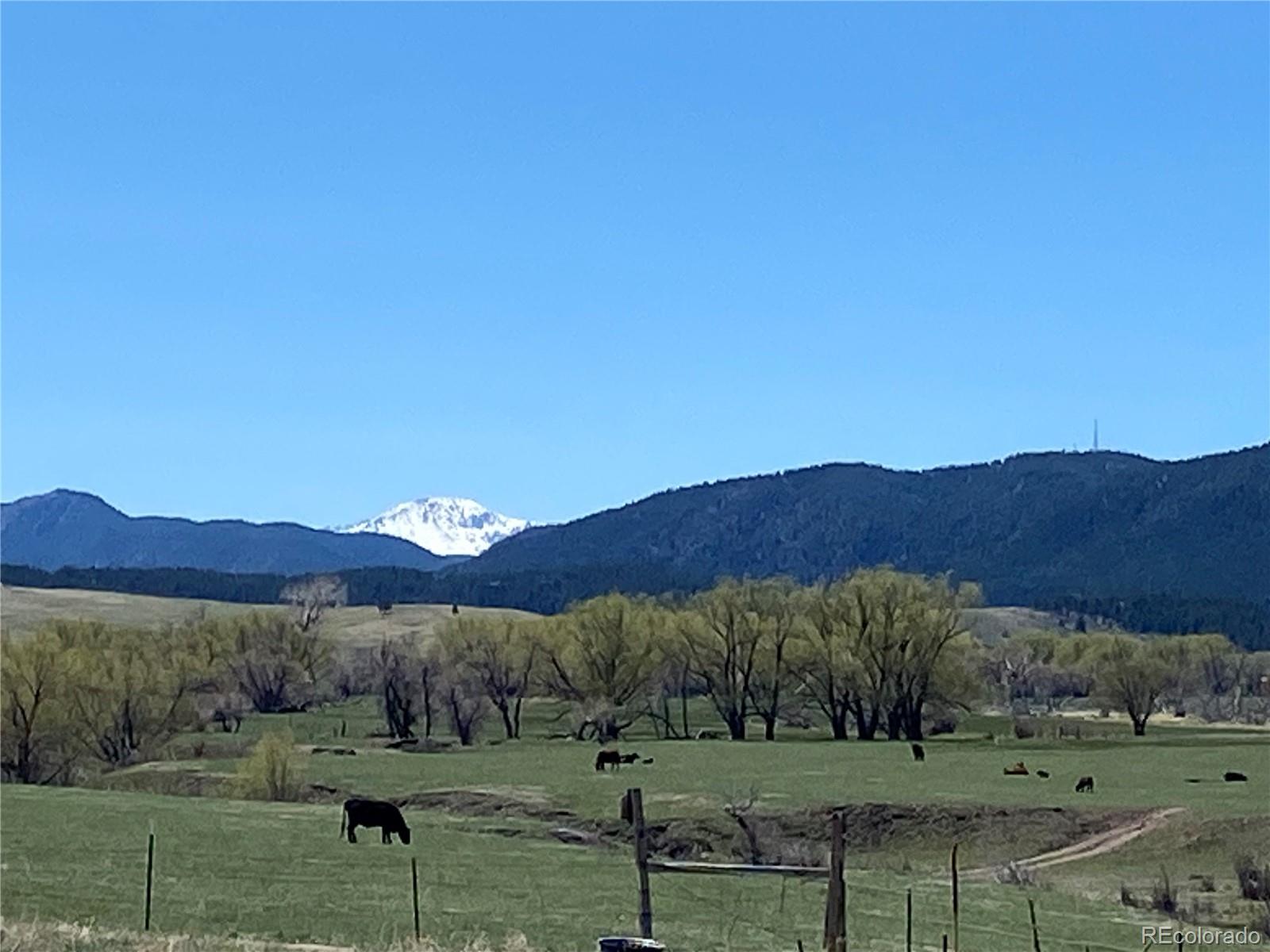 11001 Spruce Mountain Road Larkspur CO 80118