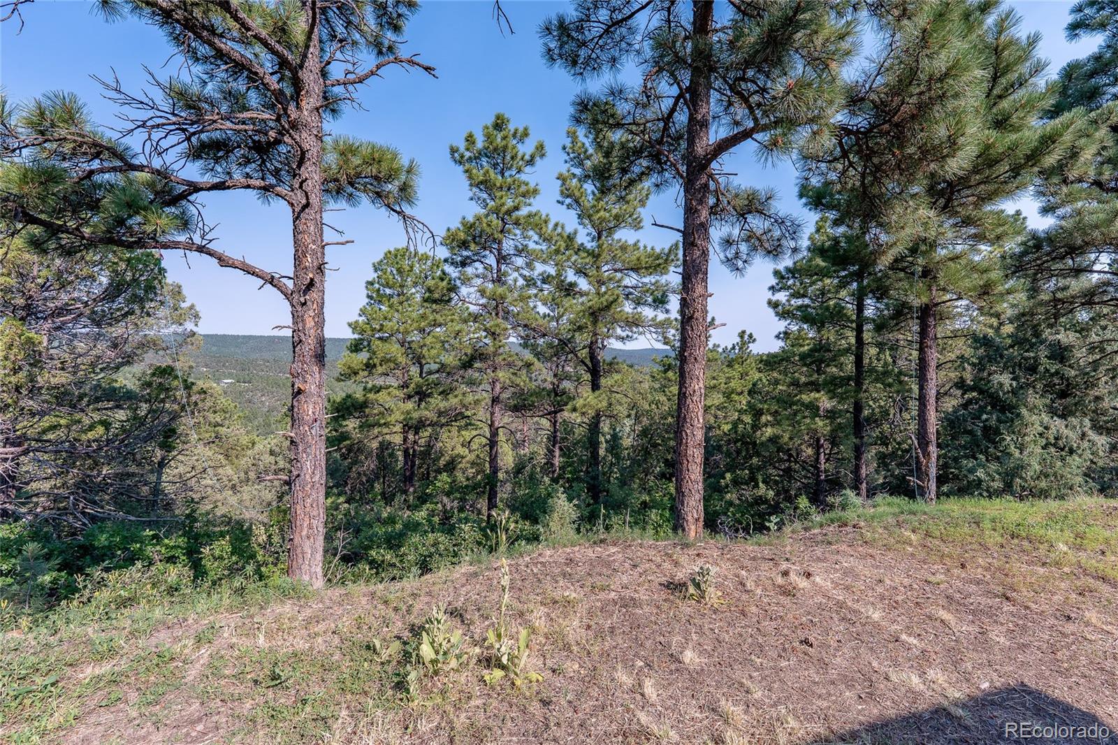 33000 Timber Park Drive Trinidad CO 81082