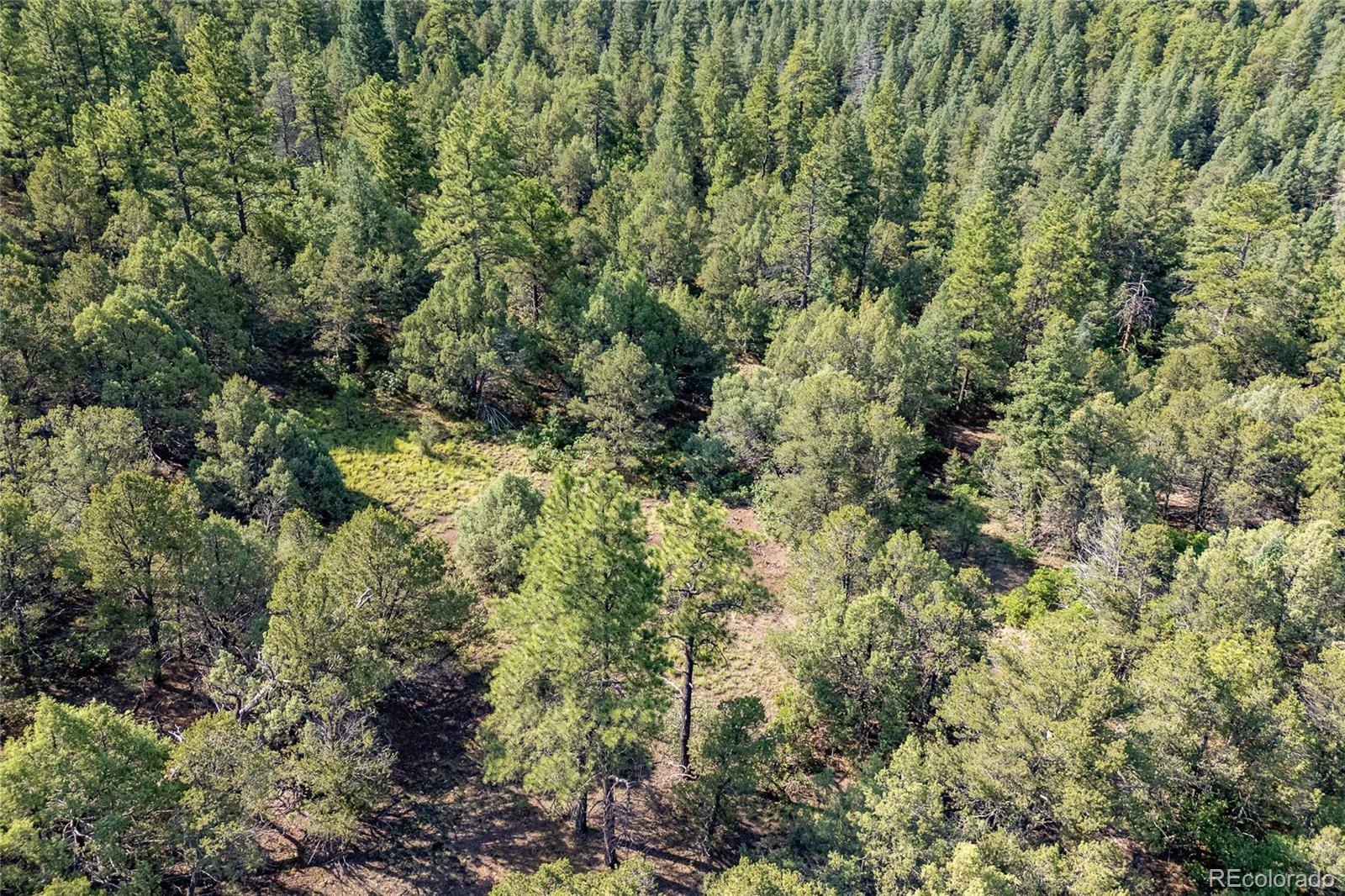 33000 Timber Park Drive Trinidad CO 81082