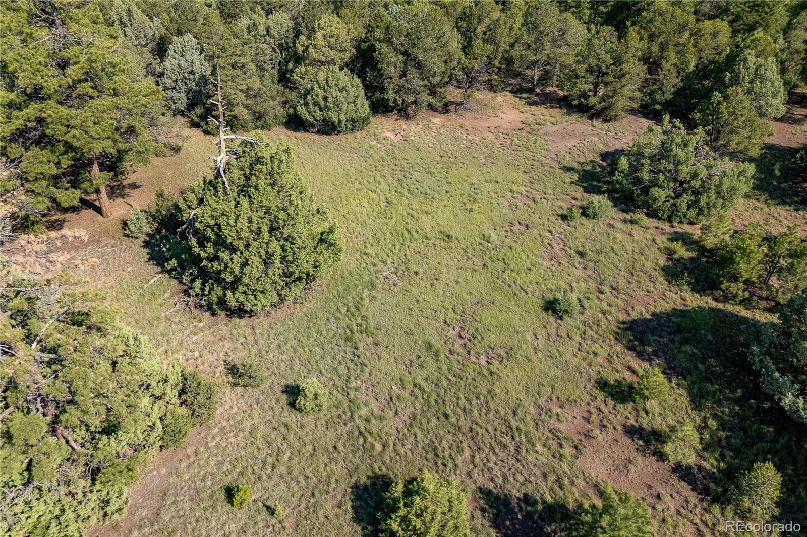 33000 Timber Park Drive Trinidad CO 81082