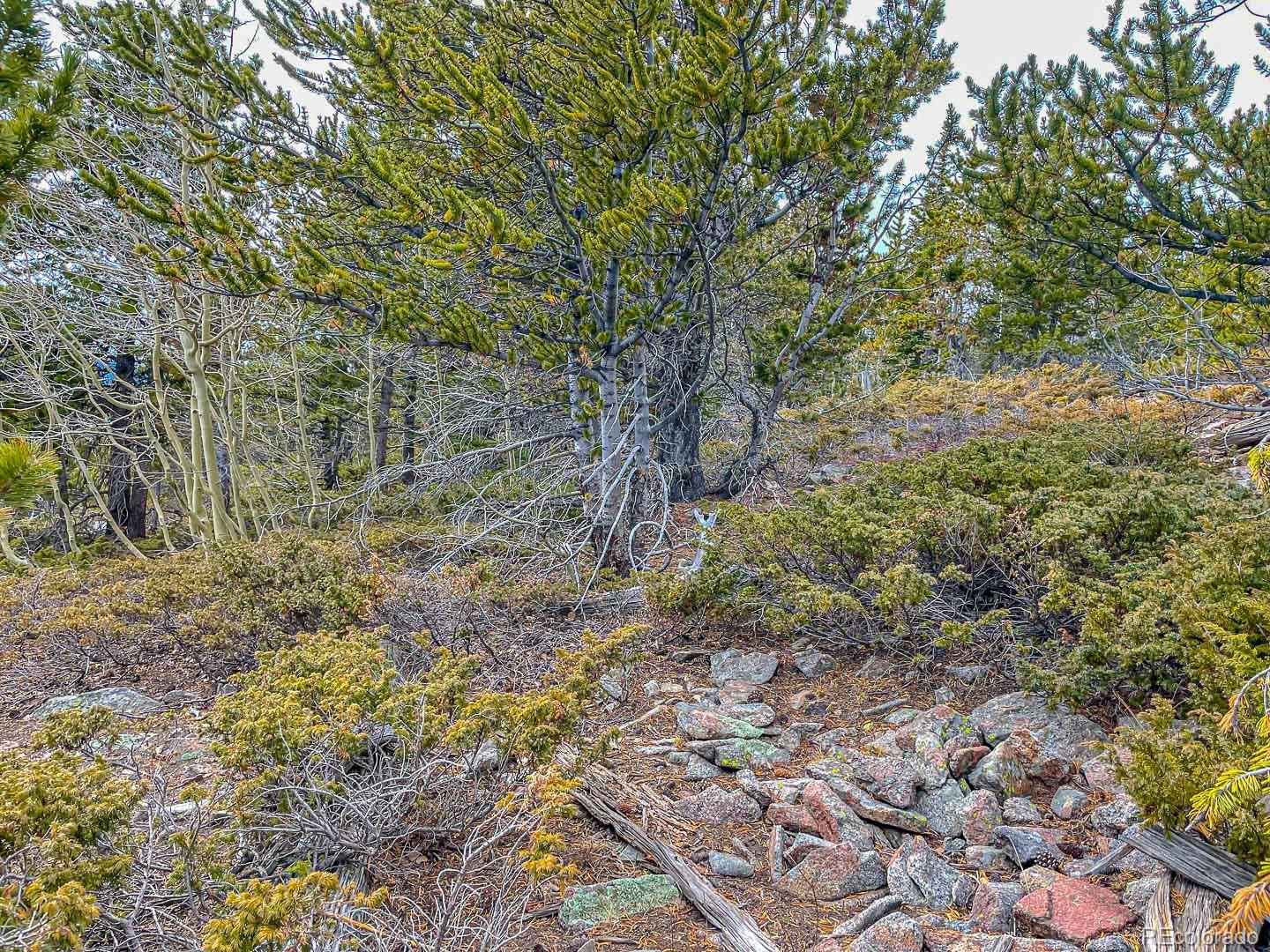 111 Hilltop Road Idaho Springs CO 80452