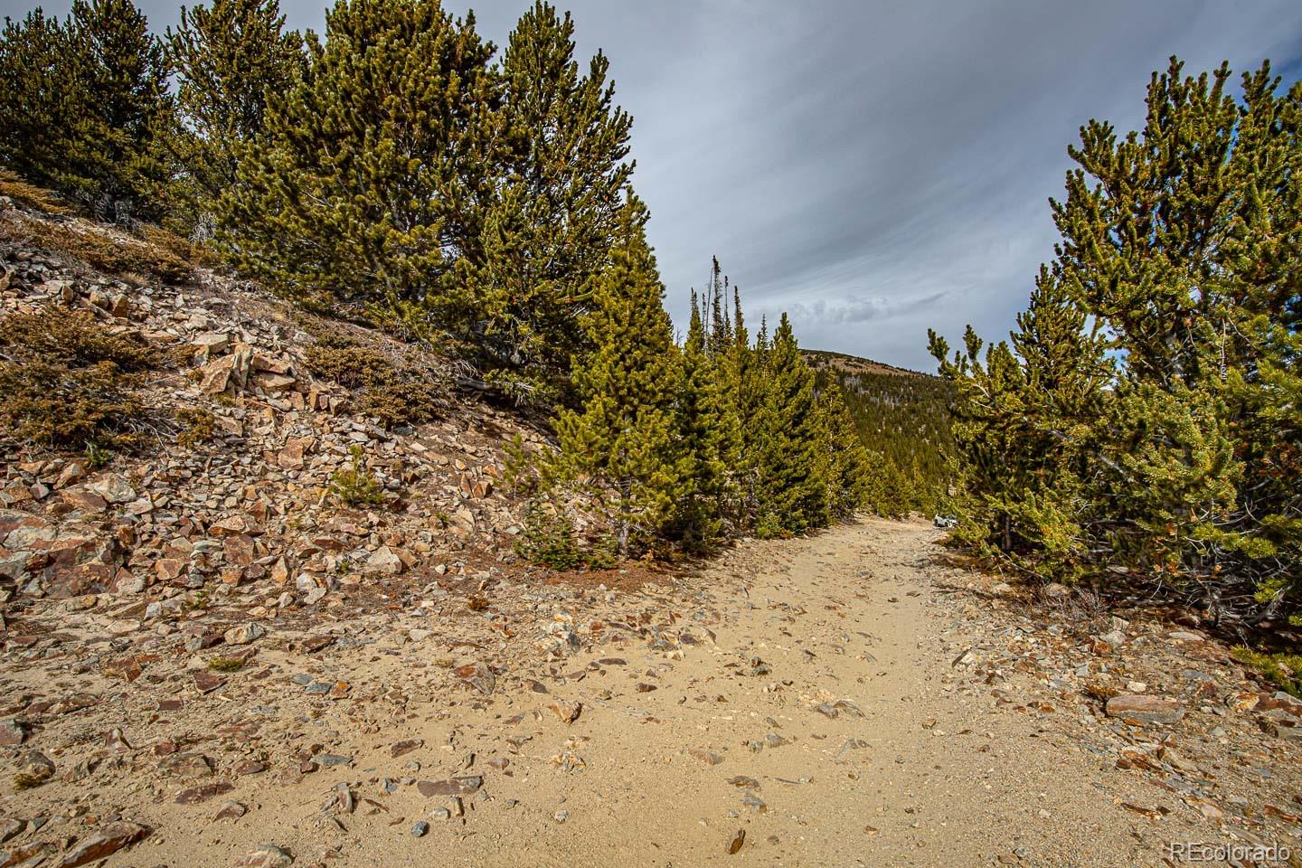 111 Hilltop Road Idaho Springs CO 80452