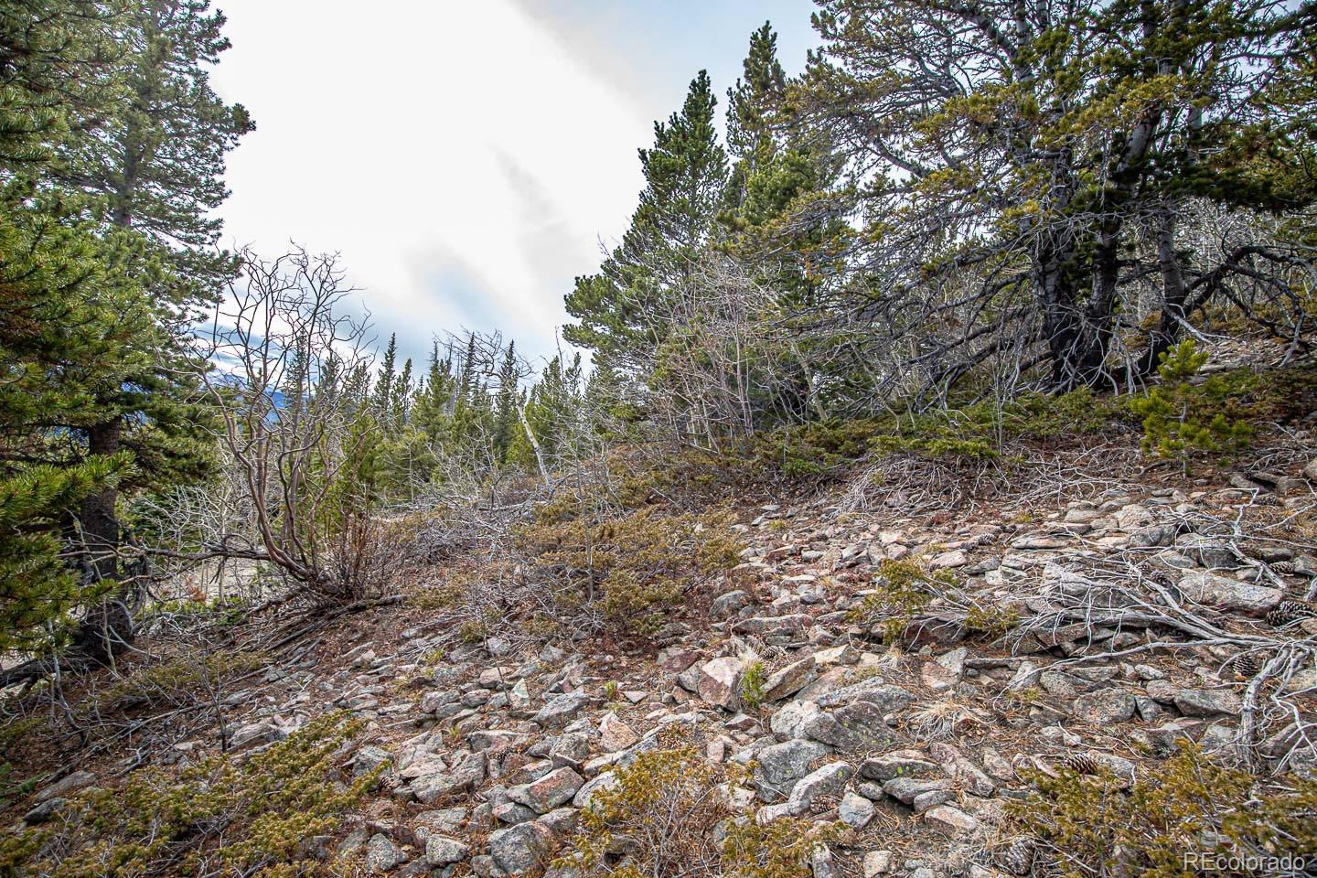 111 Hilltop Road Idaho Springs CO 80452