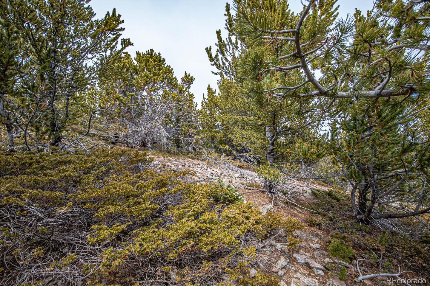 111 Hilltop Road Idaho Springs CO 80452