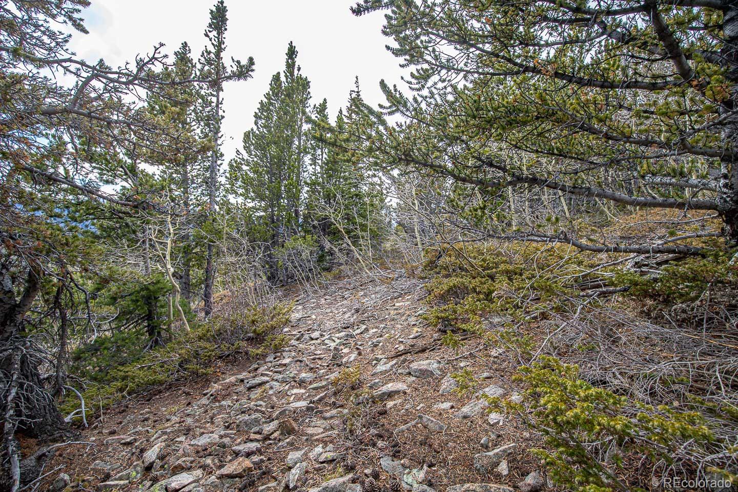 111 Hilltop Road Idaho Springs CO 80452