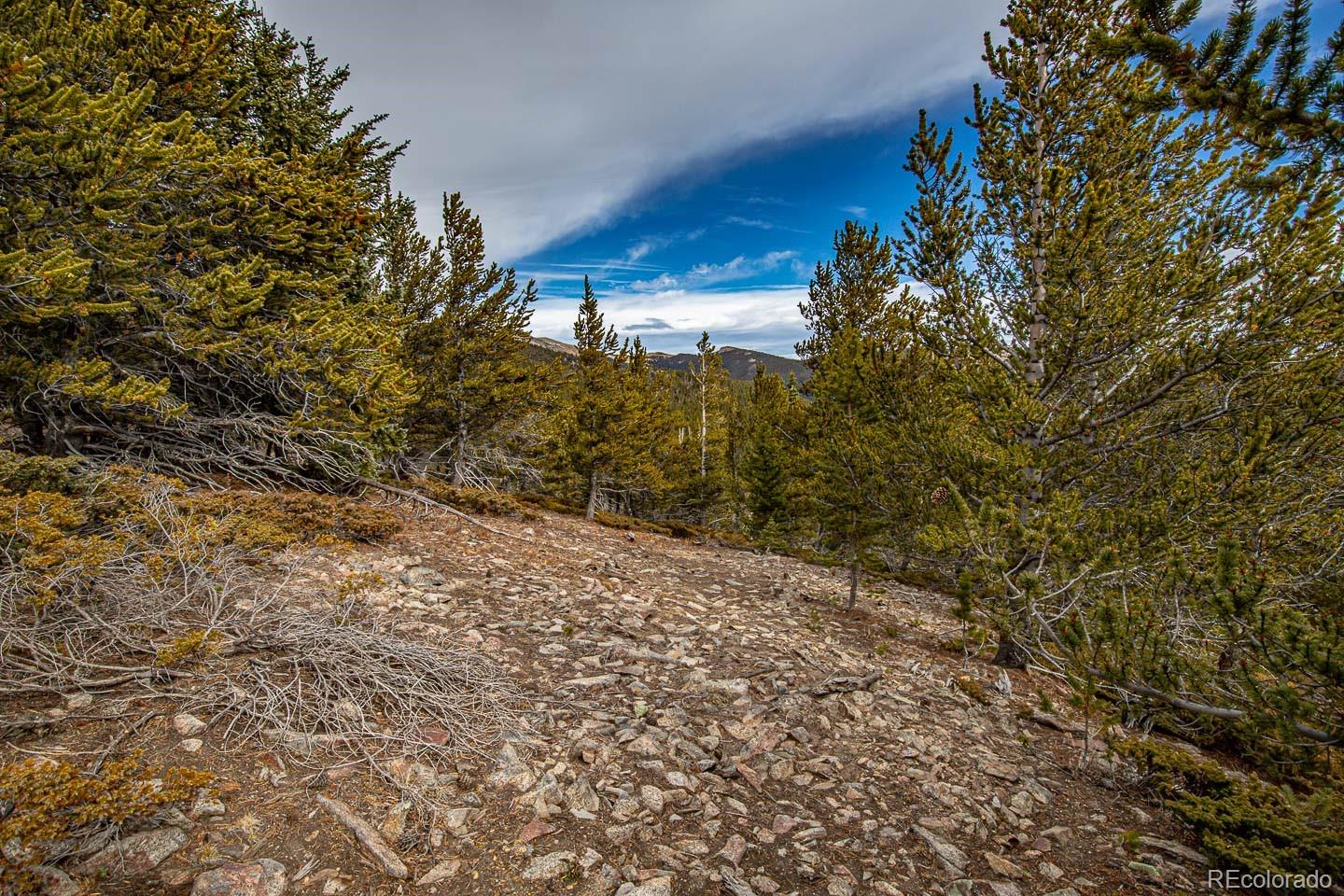 111 Hilltop Road Idaho Springs CO 80452