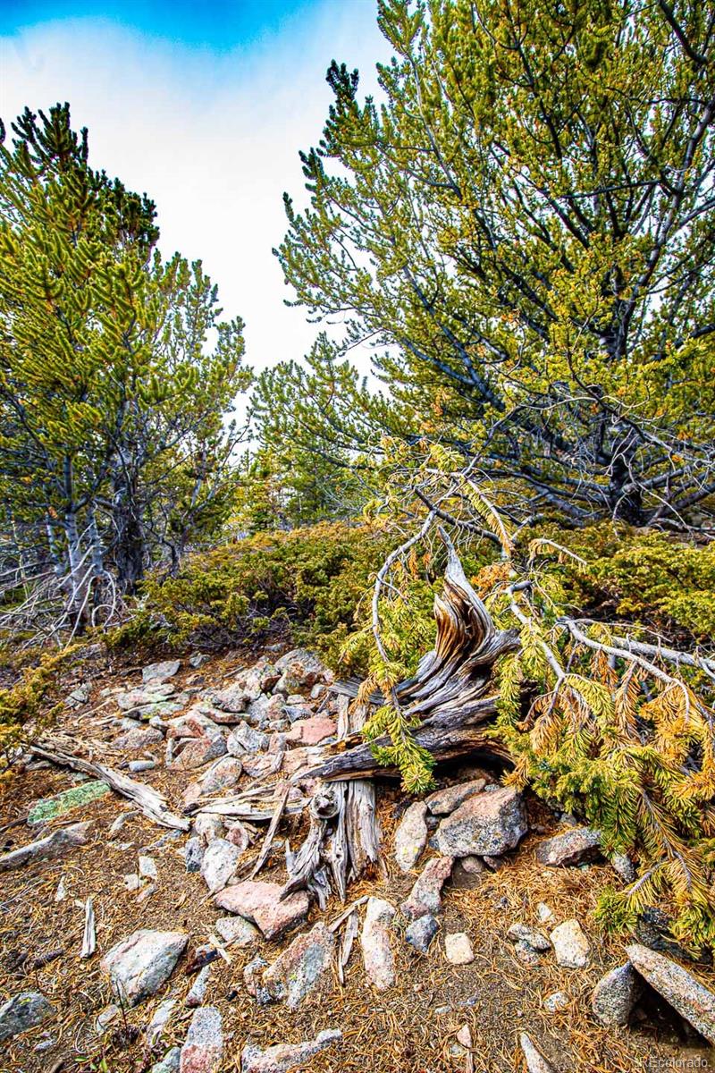 111 Hilltop Road Idaho Springs CO 80452