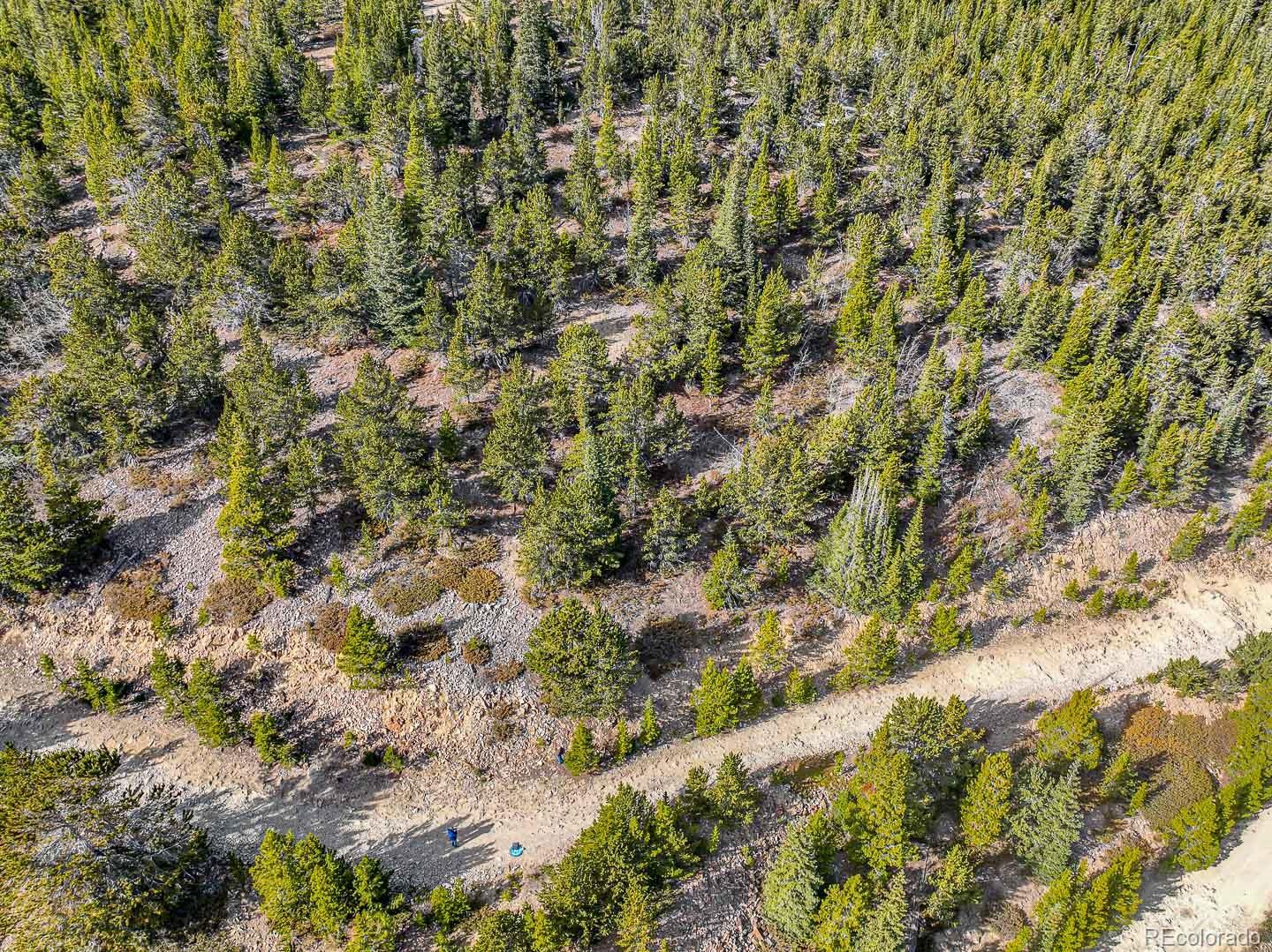 111 Hilltop Road Idaho Springs CO 80452