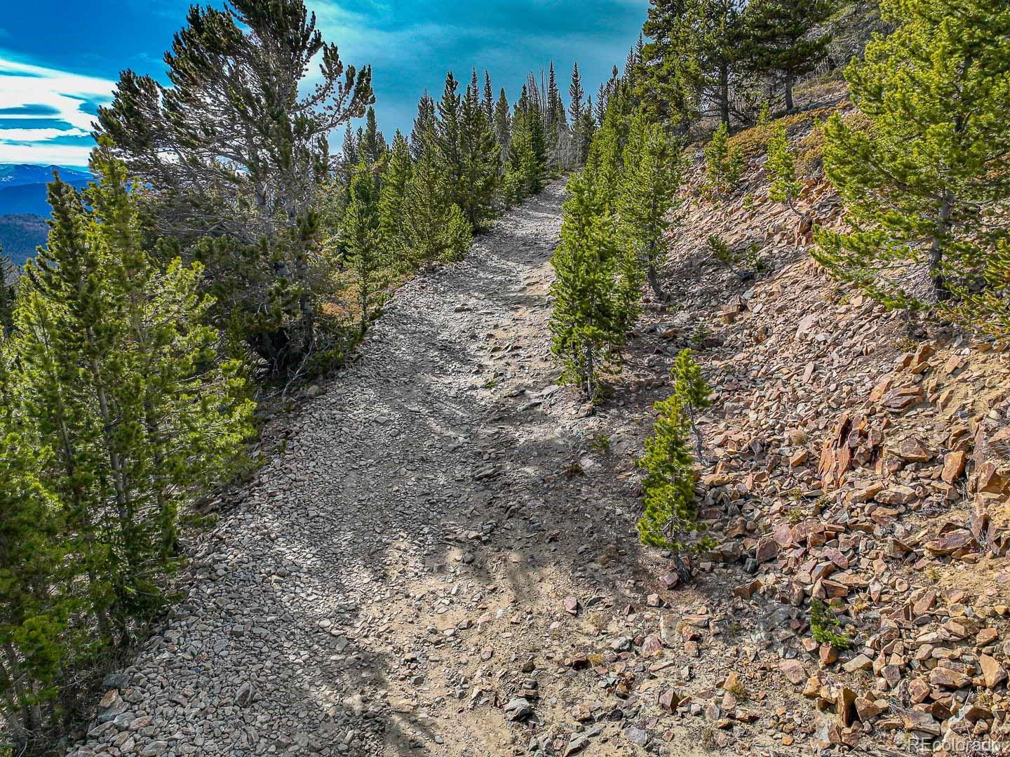 111 Hilltop Road Idaho Springs CO 80452