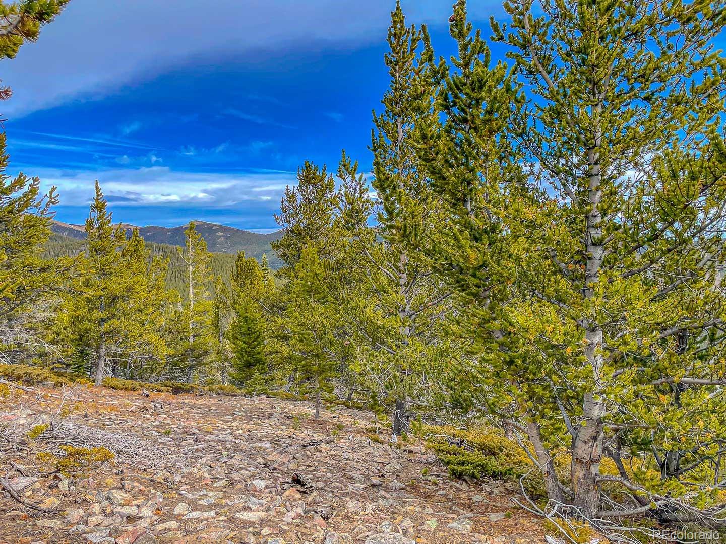 111 Hilltop Road Idaho Springs CO 80452