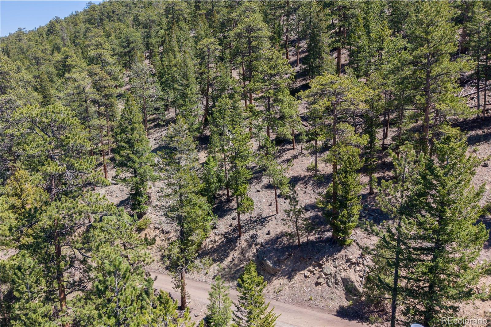 2278 Aspen Knoll Drive Estes Park CO 80517