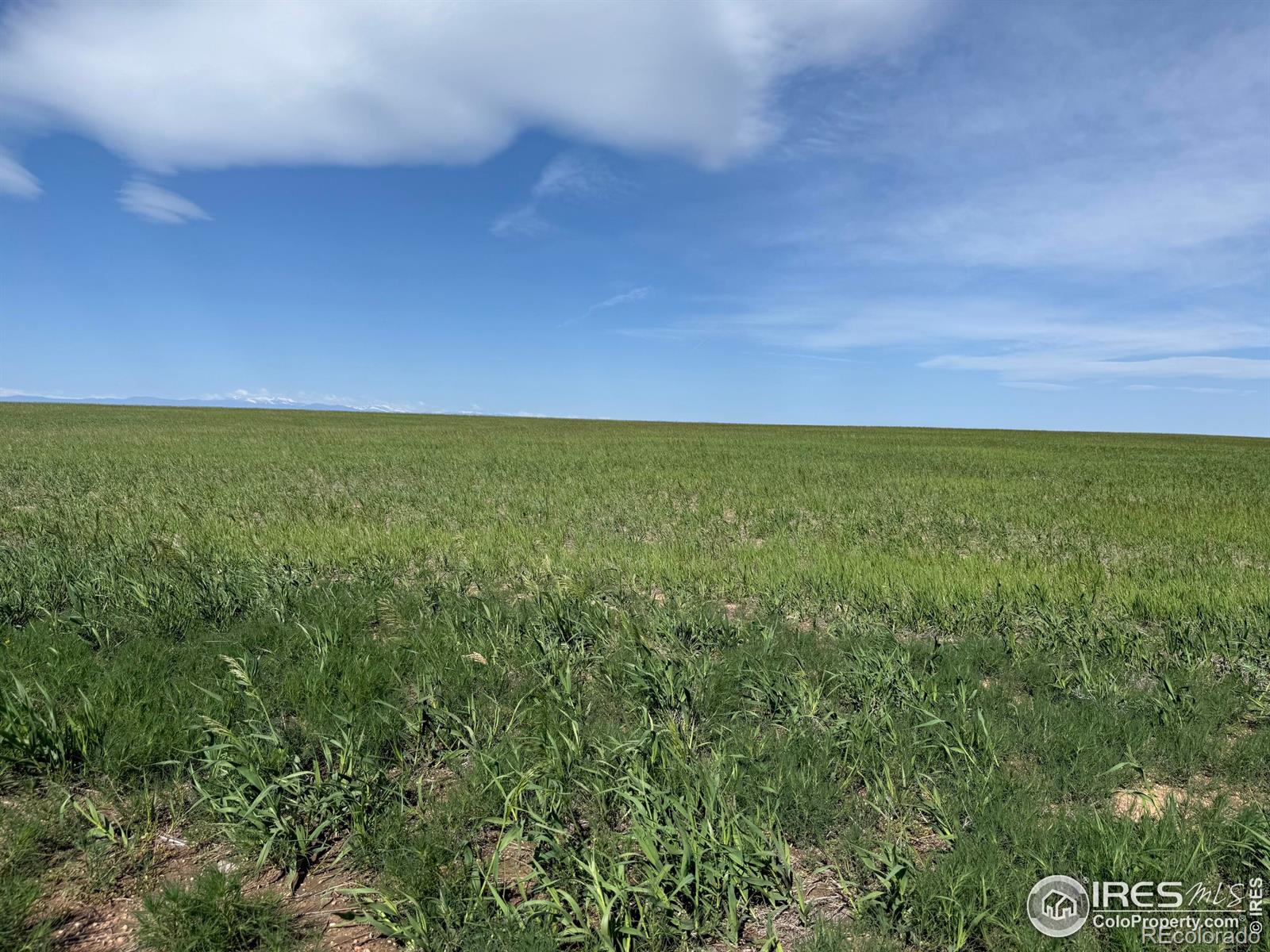 1 Tbd Ffd25-0005 Lota Co Road 15 Carr CO 80612