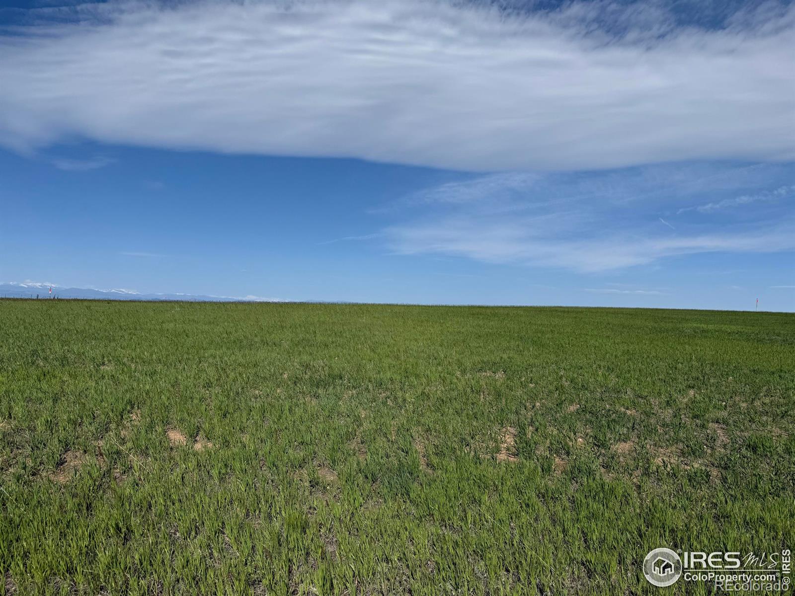 1 Tbd Ffd25-0005 Lota Co Road 15 Carr CO 80612