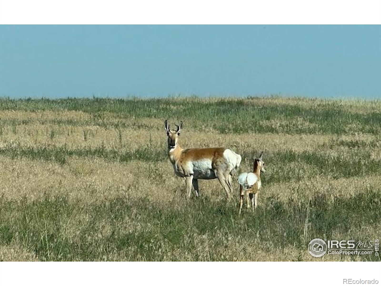 1 Tbd Ffd25-0005 Lota Co Road 15 Carr CO 80612