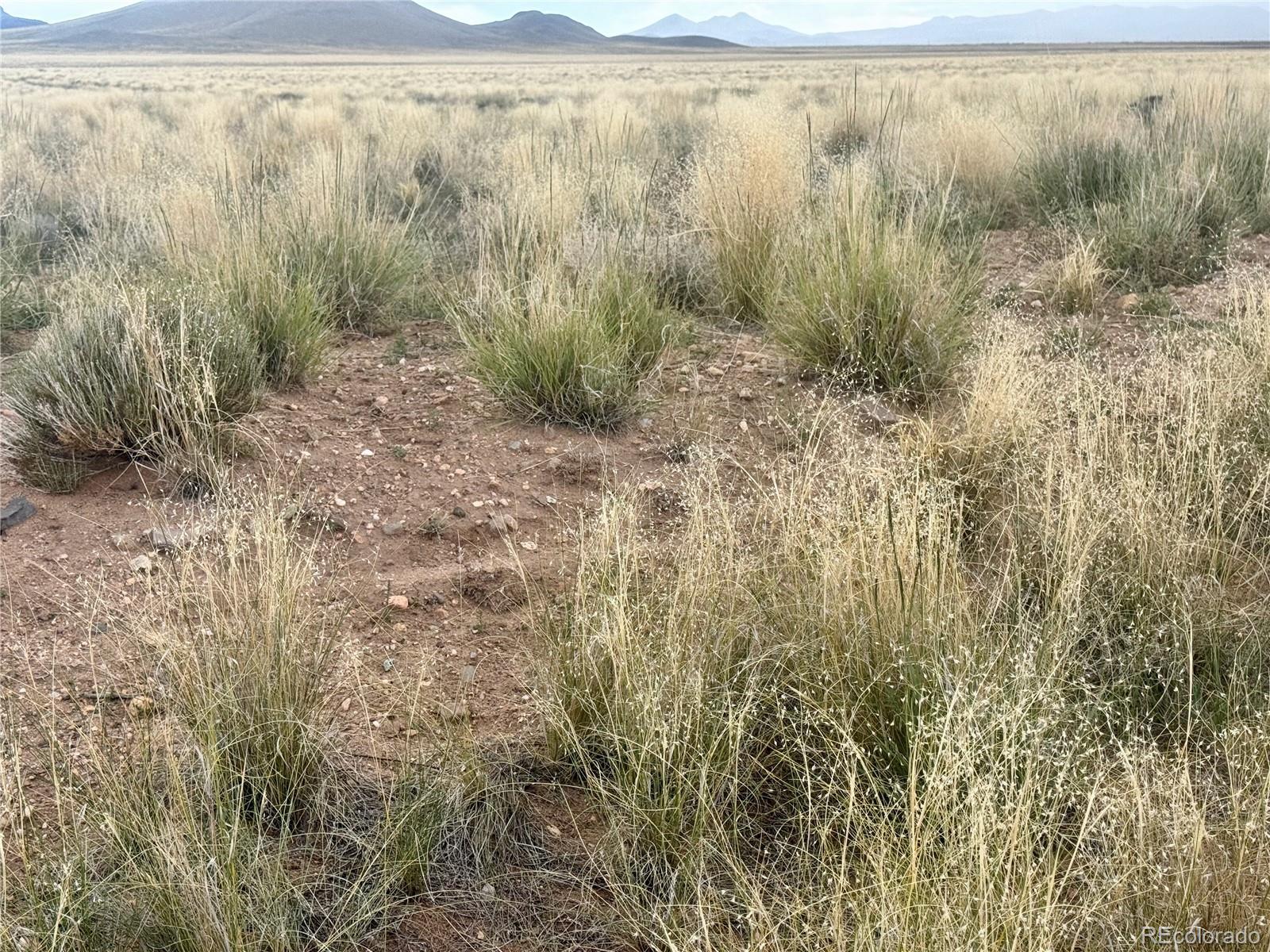Lot 13 29th Street Blanca CO 81123