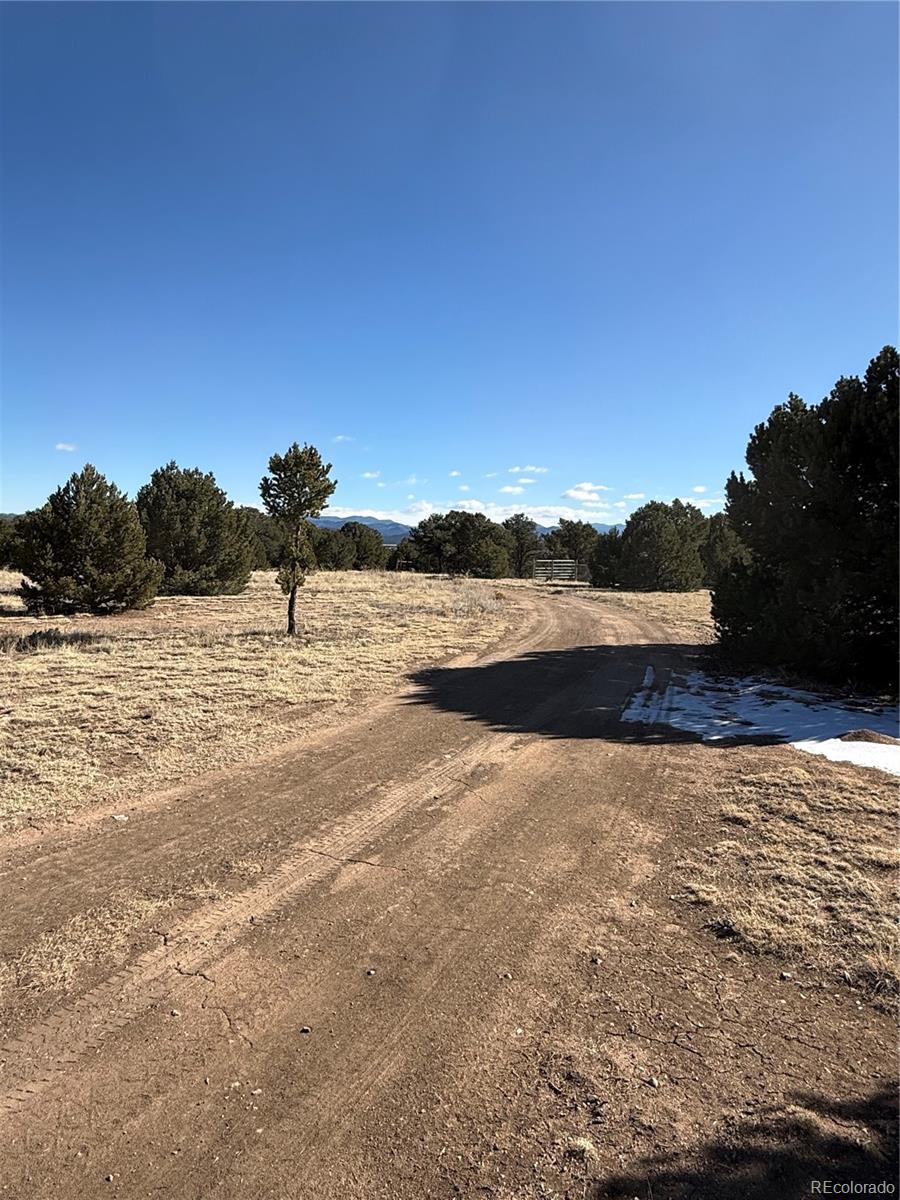 1738 12th Trail Cotopaxi CO 81223