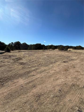 1738 12th Trail Cotopaxi CO 81223