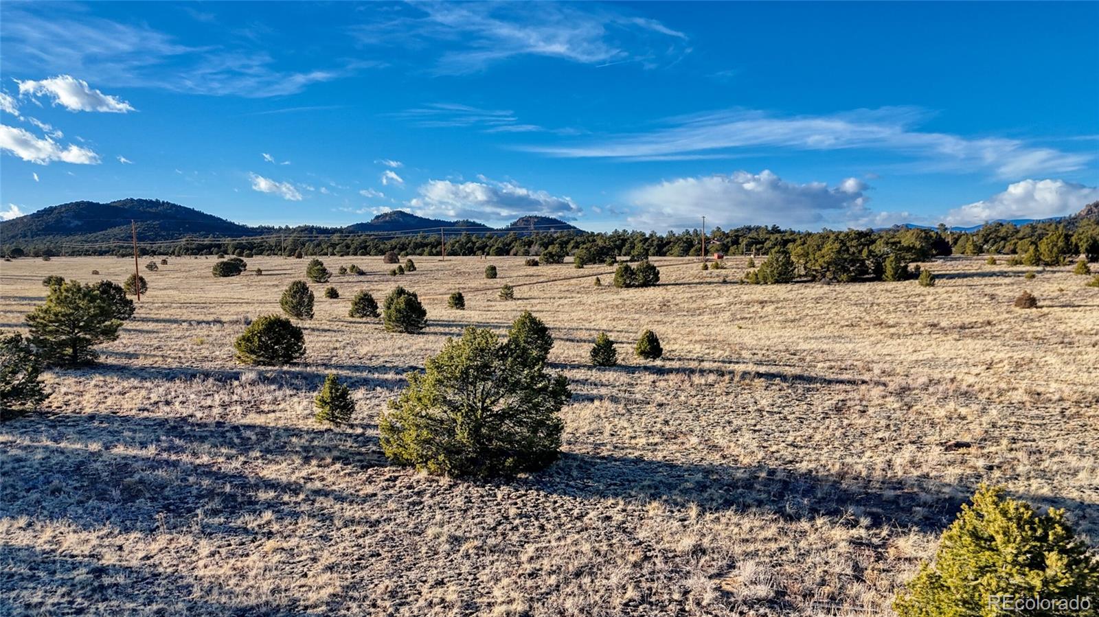 1738 12th Trail Cotopaxi CO 81223