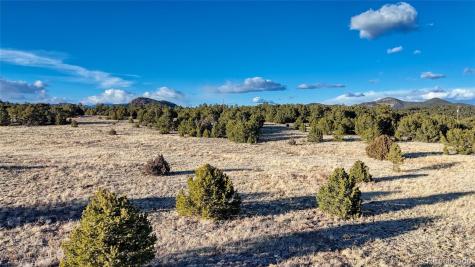 1738 12th Trail Cotopaxi CO 81223